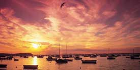 Photo of sunset over Poole harbour